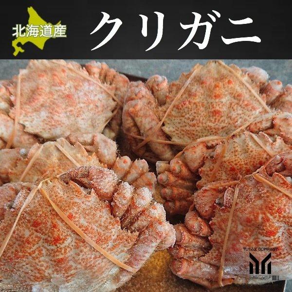 北海道産 クリガニ 10尾 約2kg