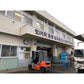 北海道知内産貝セット Lサイズ牡蠣 Lサイズホタテ Lサイズほっき 各10個