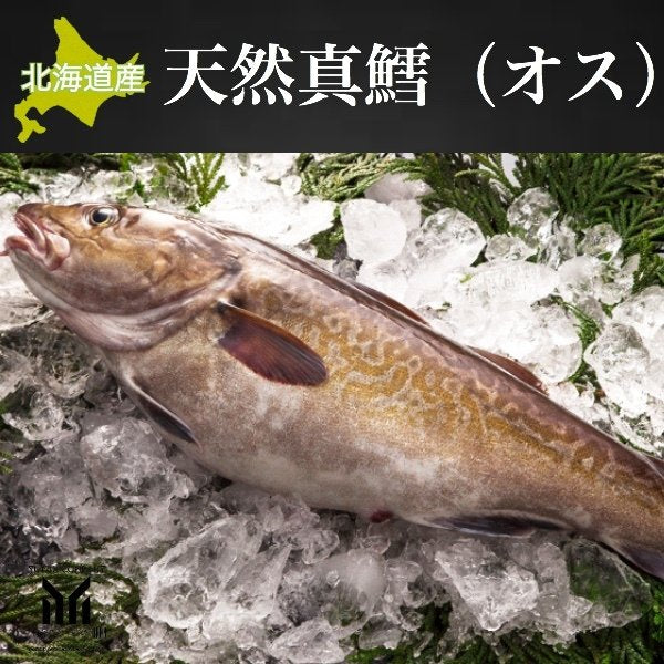 北海道産 天然真鱈 1尾 2~3kg オス