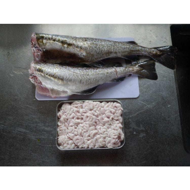 北海道産 天然真鱈 1尾 2~3kg オス
