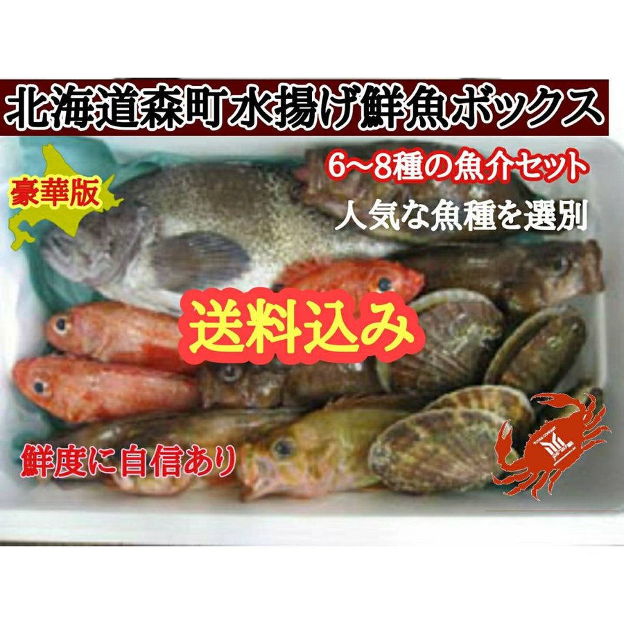 北海道 森漁港 海鮮セット  6〜8種類