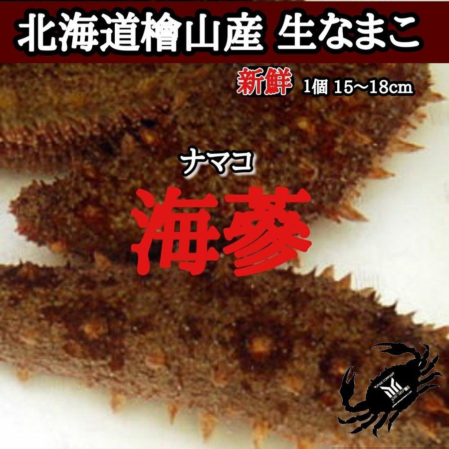 北海道檜山産 なまこ 5本
