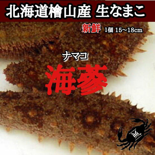 北海道檜山産 なまこ 3本