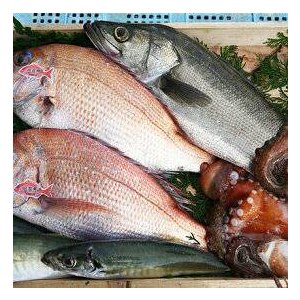 北海道のお刺身 豪華5種盛りセット