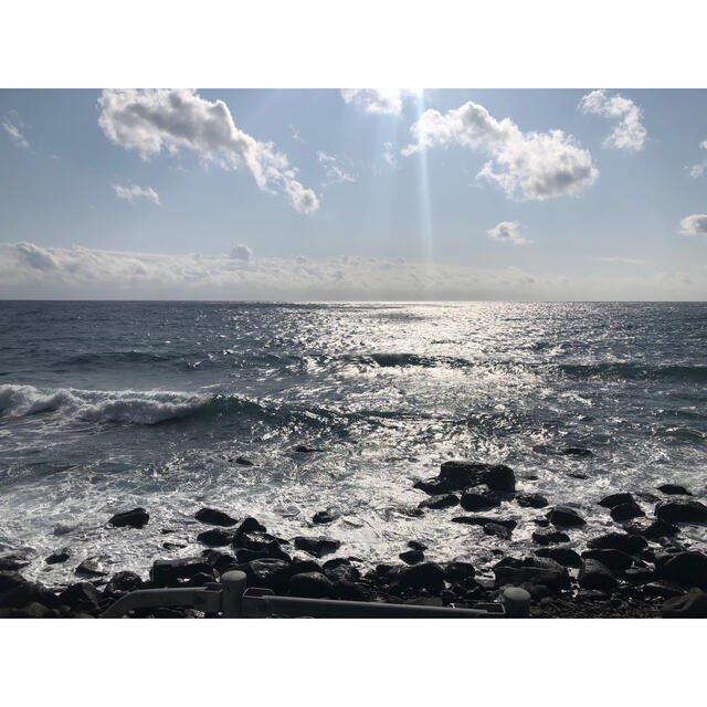 北海道産 子持ちししゃも一夜干し 500ｇ