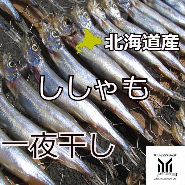 北海道産 子持ちししゃも一夜干し 500ｇ