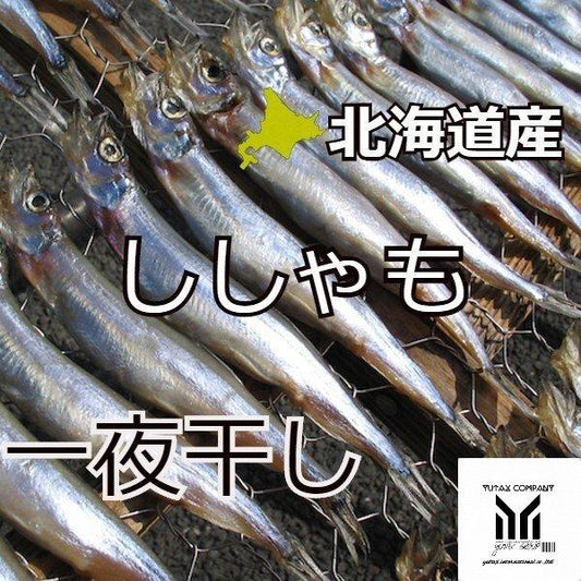 北海道産 子持ちししゃも一夜干し 500ｇ