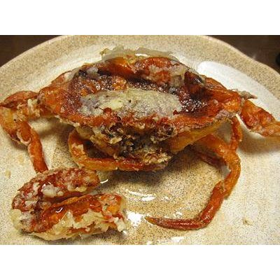 北海道函館産 ワタリガニ ソフトシェル 1kg