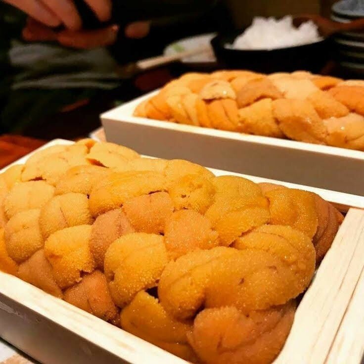 北海道福島町産 エゾバフンウニ 100g