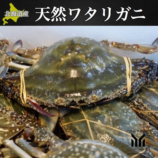 北海道産 天然 大ワタリガニ 2杯