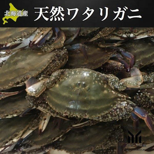北海道産 内子入り　ワタリガニ 中〜大サイズ 7杯