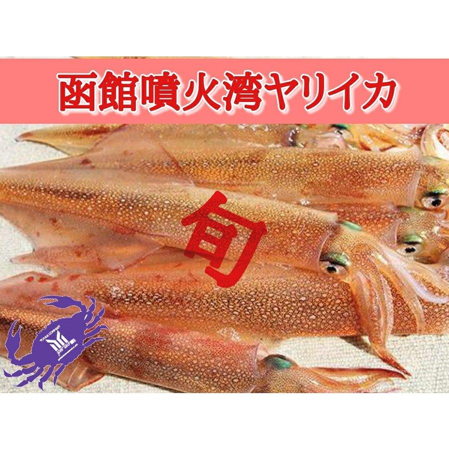 北海道函館噴火湾産 ヤリイカ 1kg 2〜3杯前後