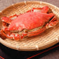 北海道噴火湾産　内子入り 浜ゆでワタリガニ 1kg