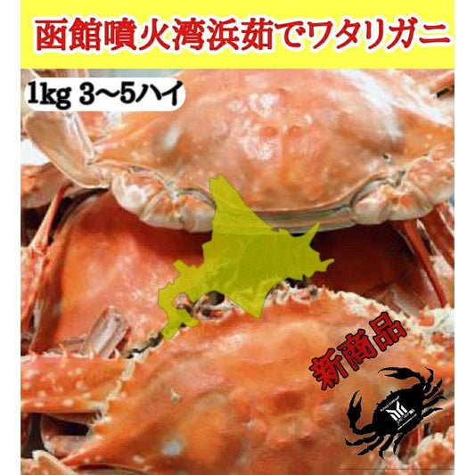 北海道噴火湾産　内子入り 浜ゆでワタリガニ 1kg