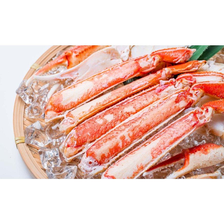 北海道産 ズワイガニ 脚 ハーフポーション 500g（2〜3人前）