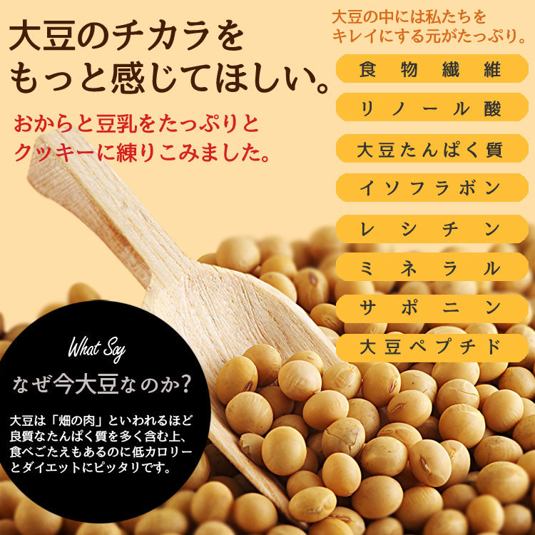 訳あり 豆乳おからクッキー 【ベーシックタイプ】1kg大増量
