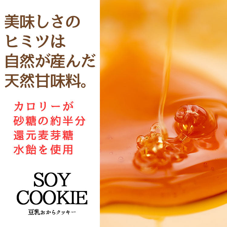 訳あり 豆乳おからクッキー 【ベーシックタイプ】1kg大増量