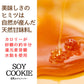 訳あり 豆乳おからクッキー 【トリプルダイエットクッキー】1kg大増量