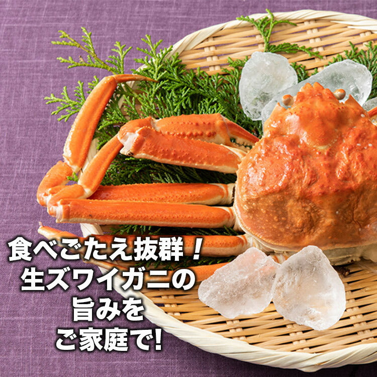 訳あり かに ズワイガニ 蟹折れ棒ポーション 500g