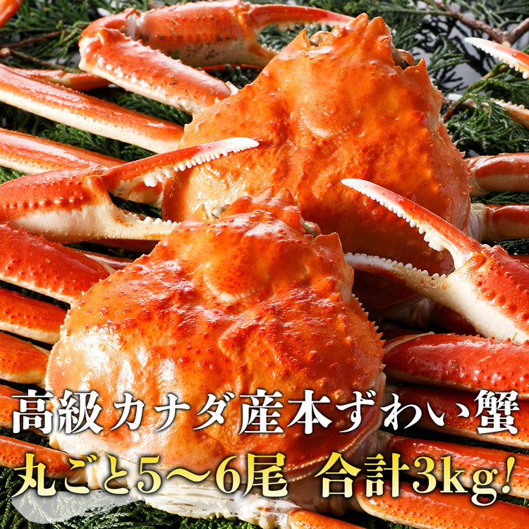 【3人シェア買いでお得】姿ずわいがに 3kg 5?6尾 蟹 カニ かに ずわいがに ズワイガニ カニミソ かにみそ 蟹味噌 業務用 送料無料 お取り寄せグルメ 食品 ギフト 海鮮