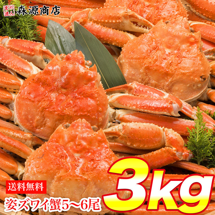 【3人シェア買いでお得】姿ずわいがに 3kg 5?6尾 蟹 カニ かに ずわいがに ズワイガニ カニミソ かにみそ 蟹味噌 業務用 送料無料 お取り寄せグルメ 食品 ギフト 海鮮