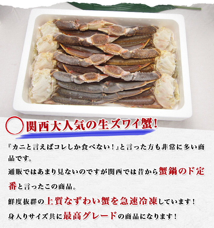 【贈答用】かに カニ 蟹 ずわい 特大5L 生ずわい蟹 肩脚(セクション) たっぷり3kg 化粧箱入り 冷凍便 送料無料 お取り寄せグルメ 食品 ギフト 海鮮