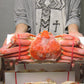 かに 蟹 カニ 高級カナダ産 ボイル済み 姿ずわい蟹2尾セット約1.2kg 送料無料 お取り寄せグルメ 食品 ギフト 海鮮