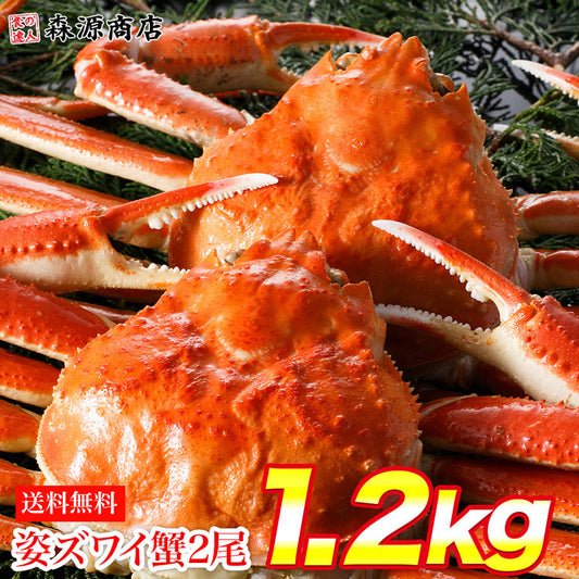 かに 蟹 カニ 高級カナダ産 ボイル済み 姿ずわい蟹2尾セット約1.2kg 送料無料 お取り寄せグルメ 食品 ギフト 海鮮