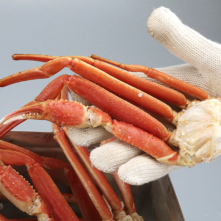【先着30購入限定】蟹のカンカン焼き 説明書付 かに 蟹 カニ ズワイガニ ずわい蟹 缶 BBQ バーベキュー アウトドア 送料無料 お取り寄せグルメ 食品備蓄 贈答品 ギフト