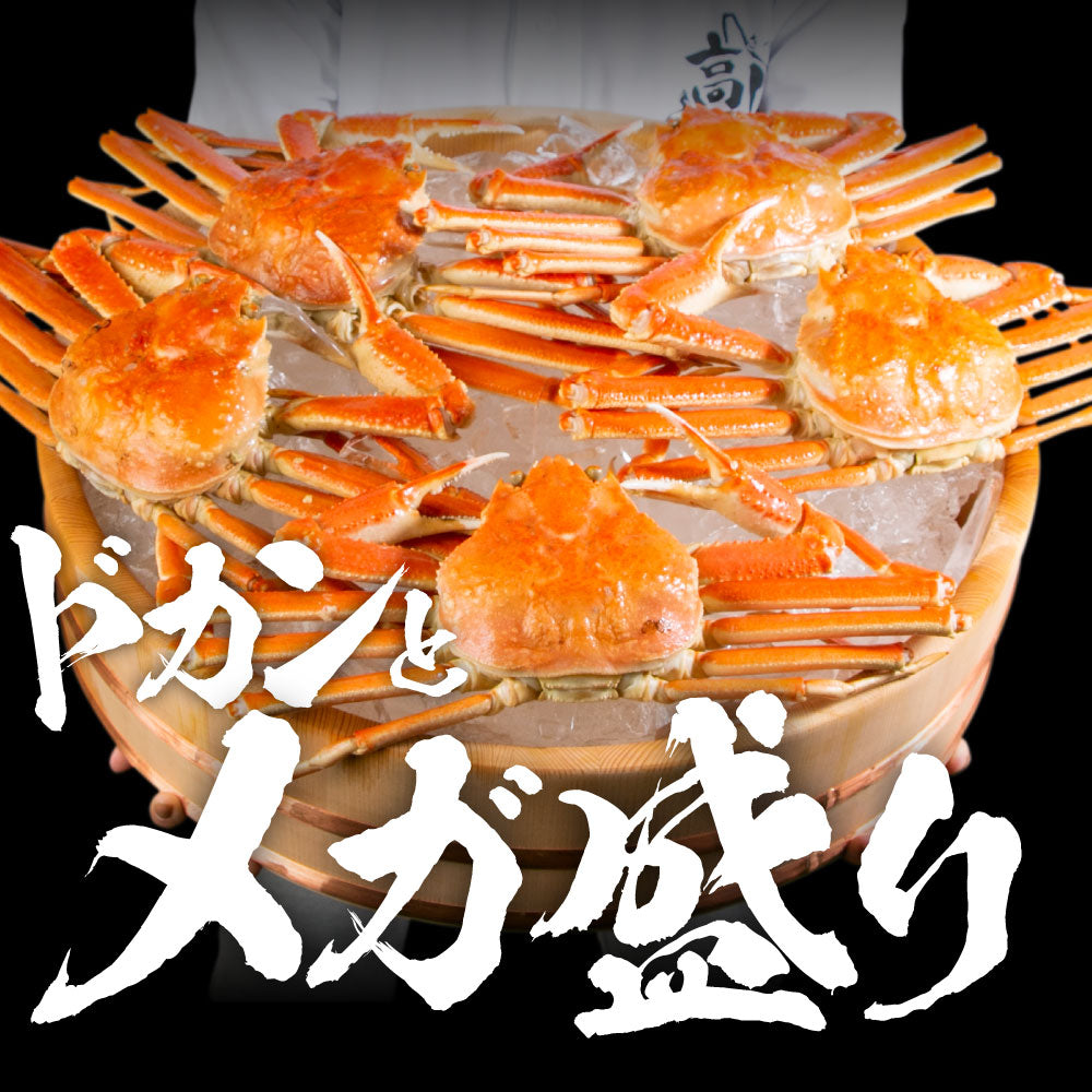 【大容量】身入り抜群！本ズワイガニ姿1杯600g×5尾