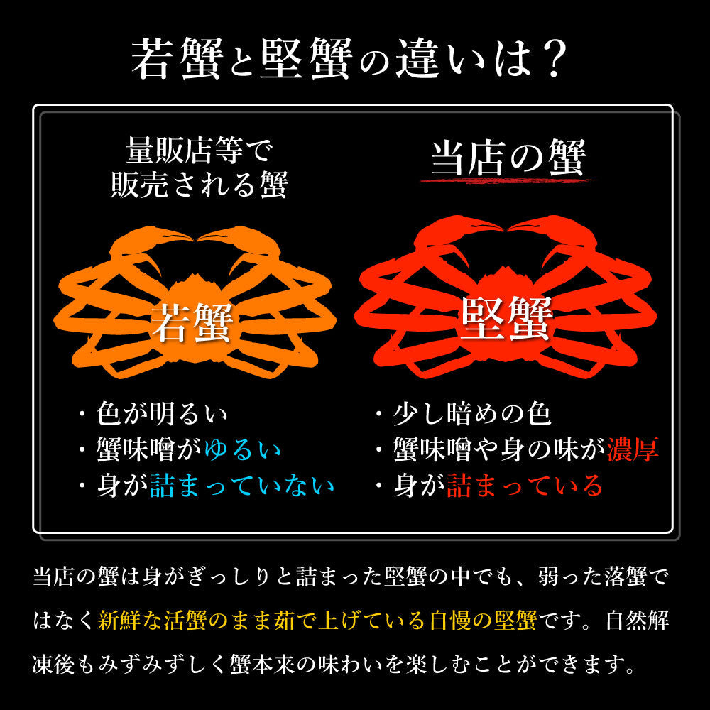 【大容量】身入り抜群！本ズワイガニ姿1杯600g×5尾
