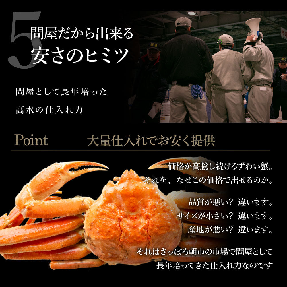 【大容量】身入り抜群！本ズワイガニ姿1杯600g×5尾