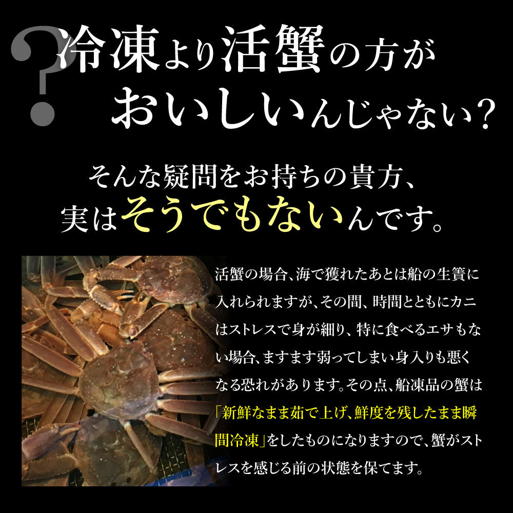 【大容量】身入り抜群！本ズワイガニ姿1杯600g×5尾