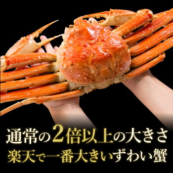 1.3kg 本ズワイ蟹 姿