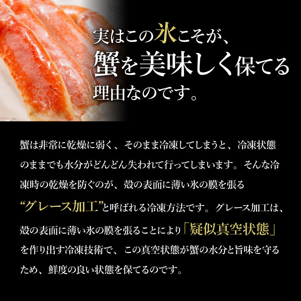 カウシェ最大級の大きさ！1杯900g前後の特大ズワイガニ姿
