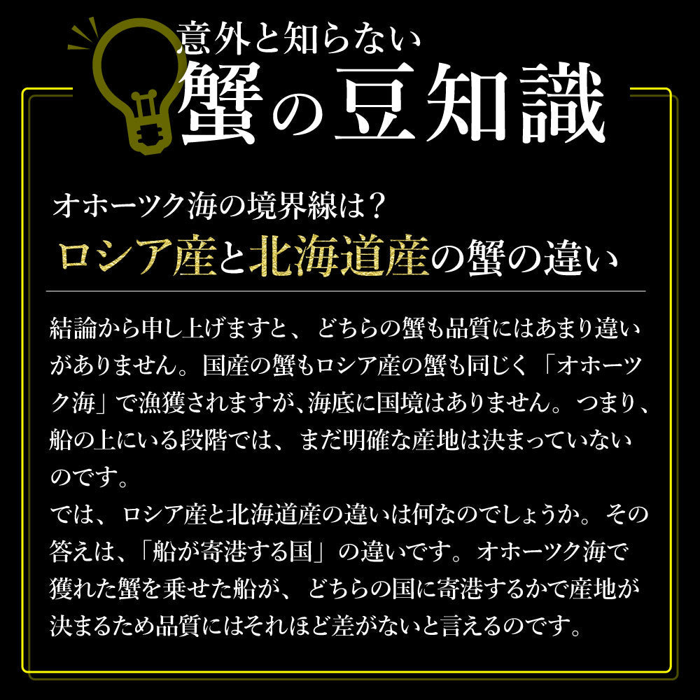 カウシェ最大級の大きさ！1杯900g前後の特大ズワイガニ姿