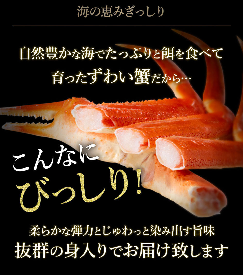 身入り抜群！本ズワイガニ姿1杯650g