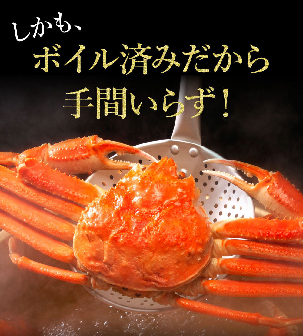 身入り抜群！本ズワイガニ姿1杯650g