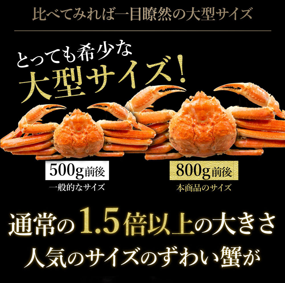 【大容量】身入り抜群！特大本ズワイガニ姿1杯800g×2尾