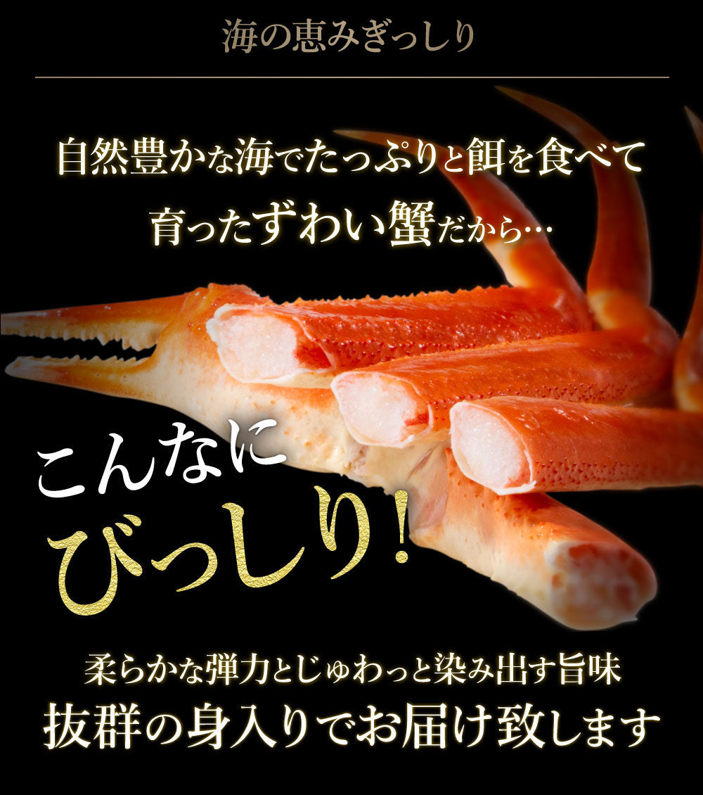 【大容量】身入り抜群！特大本ズワイガニ姿1杯800g×2尾