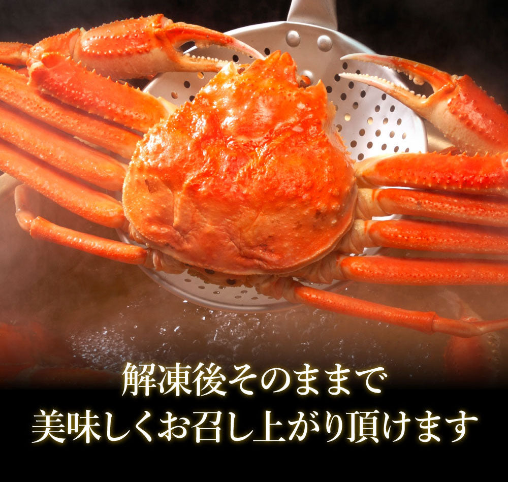 【大容量】身入り抜群！特大本ズワイガニ姿1杯800g×2尾