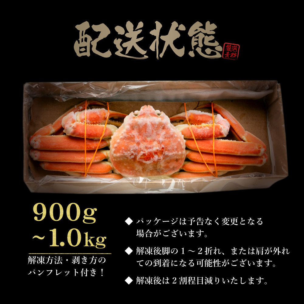 カウシェ最大級の大きさ！1杯900g前後の特大ズワイガニ姿